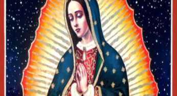 Perawan Guadalupe Sebagai Simbol Solidaritas Palestina di Kalangan Aktivis Latin