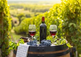 tradisi wine tasting