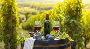 Tradisi Wine Tasting di Bordeaux: Warisan, Rasa, dan Budaya