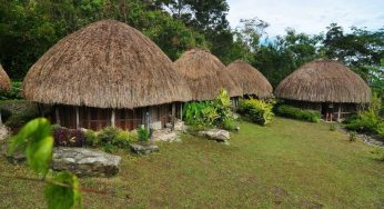 Rumah Adat Honai: Simbol Kehangatan dan Kearifan Lokal Papua