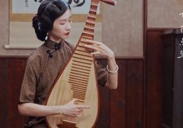 chinese lute