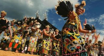 Suku Dayak: Menyelami Kekayaan Budaya dan Tradisi Kalimantan