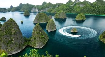Raja Ampat: Surga Laut di Indonesia, Pusat Biodiversitas Dunia