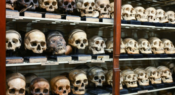 Skulls as Trophies: Praktik Kuno Mengambil Tengkorak Manusia sebagai Simbol Kekuasaan