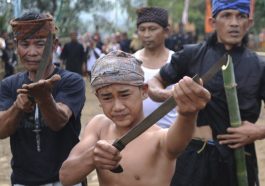 seni bela diri debus