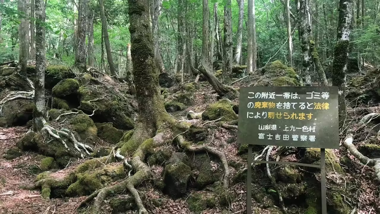aokigahara