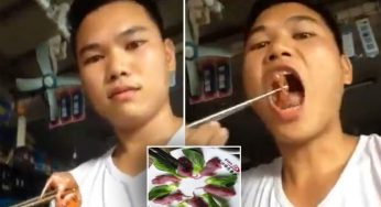 Three Squeaks: Hidangan Kontroversial Tikus Hidup dari Tiongkok