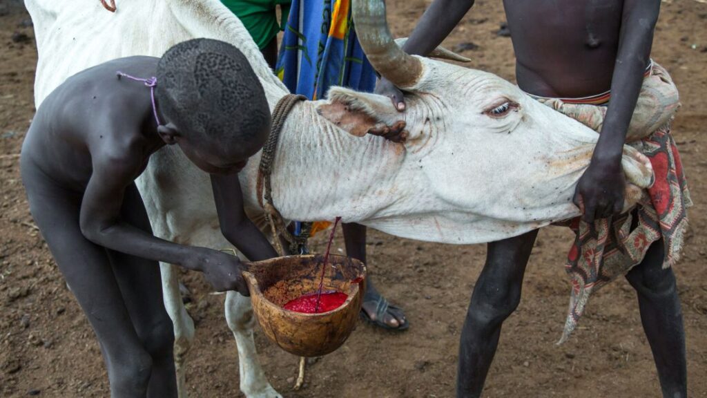 blood and milk