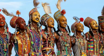 Gerewol Festival: Perayaan Kecantikan Pria di Gurun Sahara