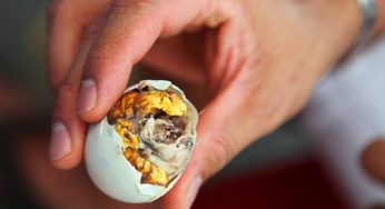 Balut: Telur Berembrio yang Jadi Camilan Populer di Filipina
