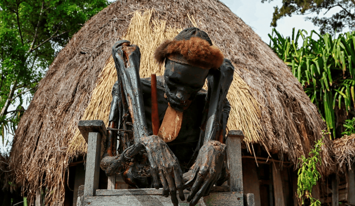 mumi papua
