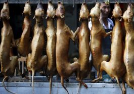 Festival Makan Anjing Yulin